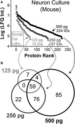 Capillary Electrophoresis Mass Spectrometry for Scalable Single-Cell Proteomics